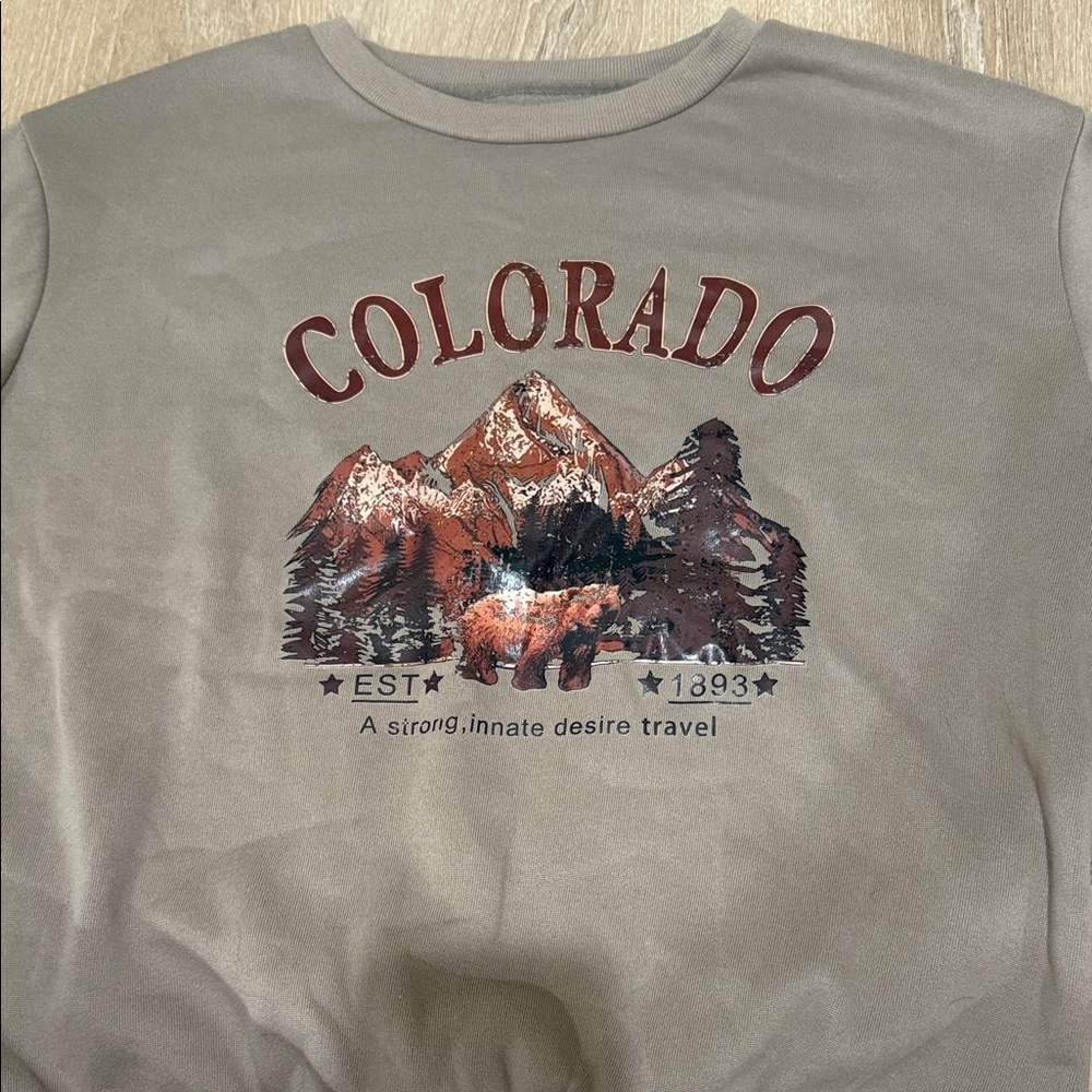 SHEIN Gray Colorado Graphic Sweater
